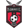 TS Galaxy