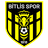Bitlis 1916 FSK