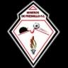 Mineros de Fresnillo FC