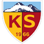 Team logo
