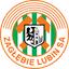 Team logo