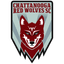 Team logo