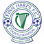 Team logo