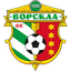 Team logo