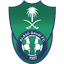 Team logo