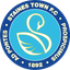Team logo