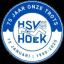 Team logo