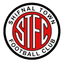 Team logo