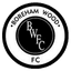 Team logo