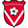 Harkemase Boys