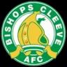Bishops Cleeve AFC