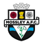 Team logo