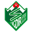 Team logo