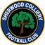 Team logo