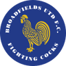 Broadfields United