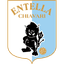 Team logo