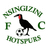 Nsingizini Hotspur