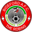 Team logo