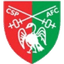 Team logo