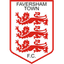 Team logo
