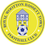 Team logo