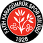 Team logo