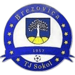 FK TJ Sokol Brezovica nad Torysou