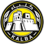 Team logo