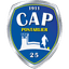 Team logo