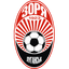 Team logo