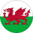 Wales U21