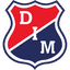Team logo