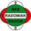 Team logo