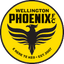 Team logo