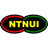 NTNUI