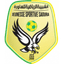 Team logo