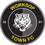 Team logo