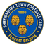 Team logo
