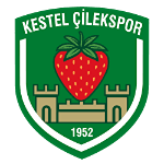 Kestel Çilekspor