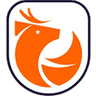 Chilean Primera División