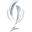 Supercopa Argentina