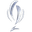 Supercopa Internacional