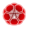 A Lyga logo